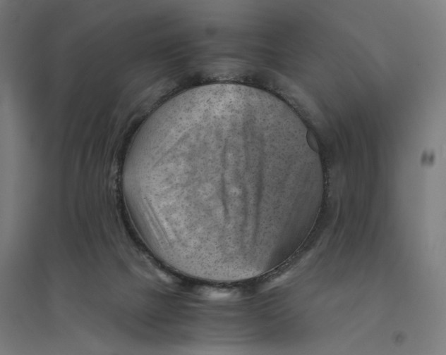 X0000094450073200712061210