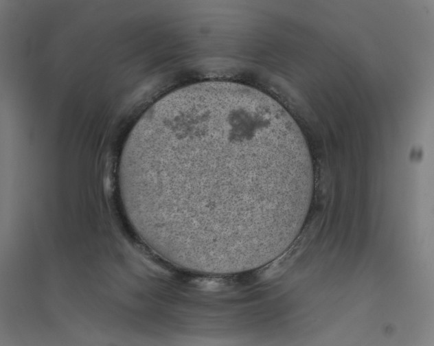 X0000094450074200712061210