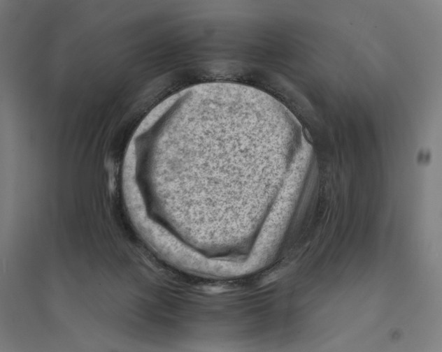 X0000094450075200712061210