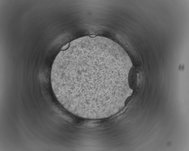 X0000094450078200712061210