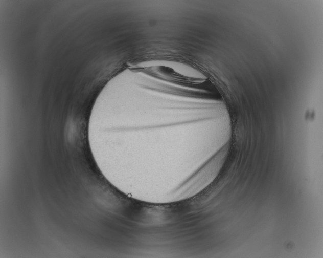 X0000094450079200712061210