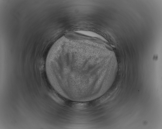 X0000094450081200712061210