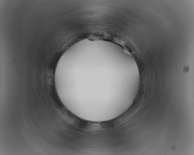 X0000094450083200712061210