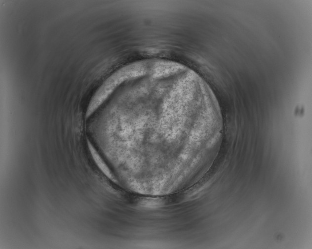 X0000094450085200712061210