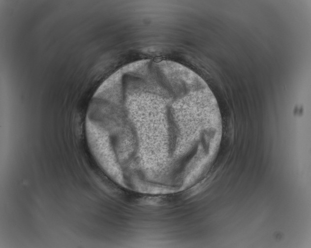 X0000094450086200712061210