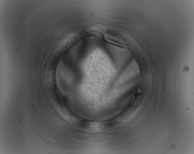 X0000094450088200712061210