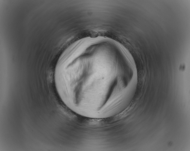 X0000094450090200712061210