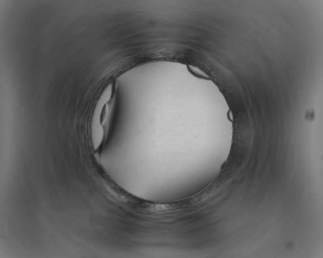 X0000094450091200712061210