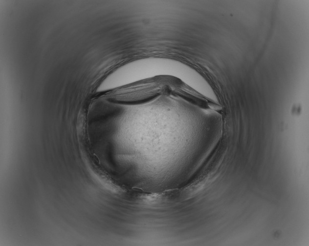 X0000094450092200712061210