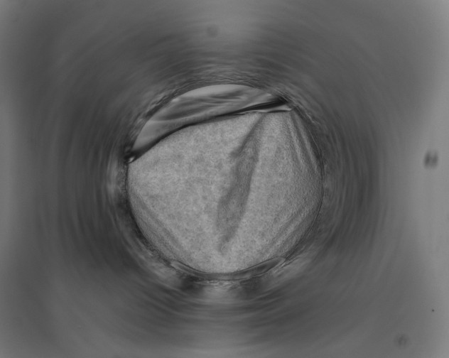 X0000094450096200712061210