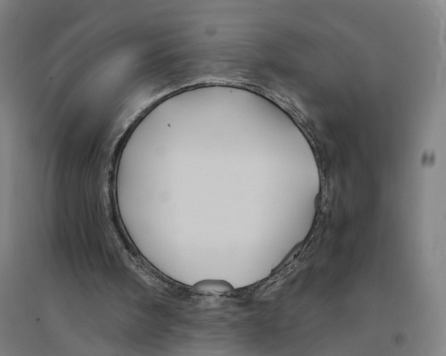 X0000094450098200712061209