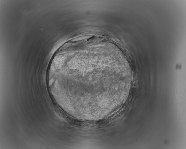 X0000094450099200712061209