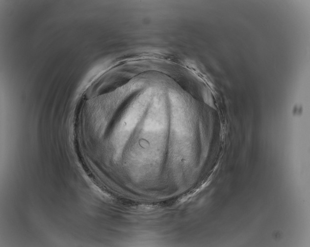 X0000094450101200712061209