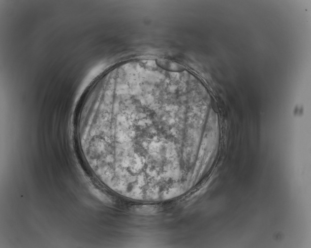 X0000094450102200712061209