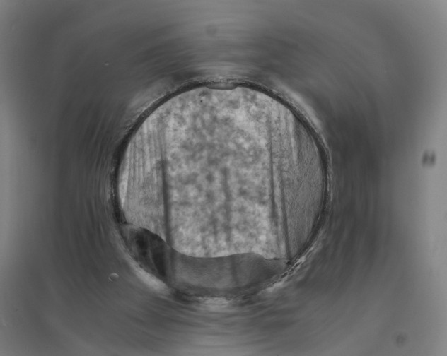 X0000094450105200712061209