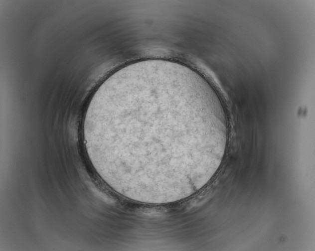 X0000094450106200712061209