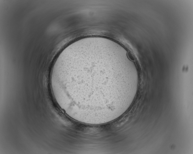 X0000094450107200712061209