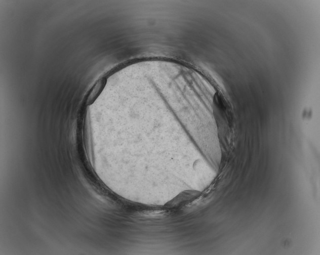 X0000094450108200712061209