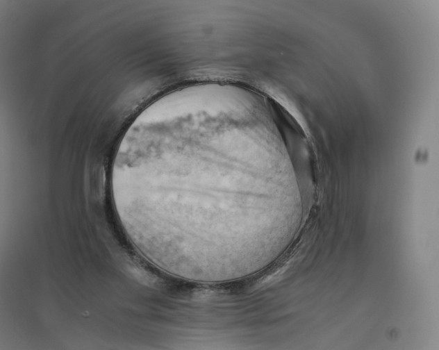 X0000094450109200712061209