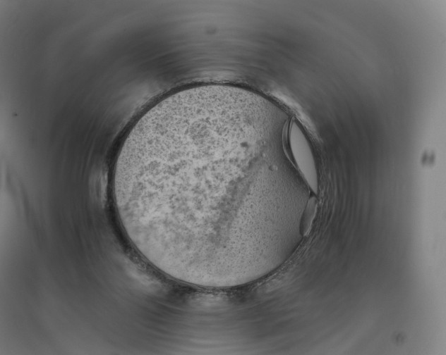 X0000094450110200712061209