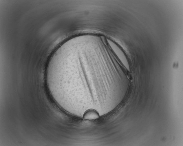 X0000094450111200712061209