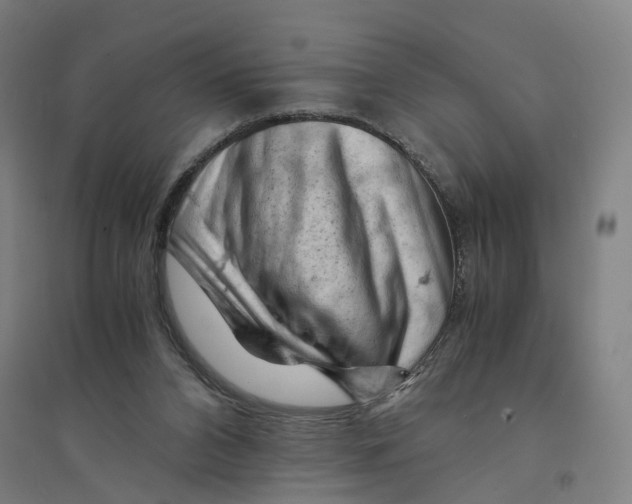 X0000094450112200712061209