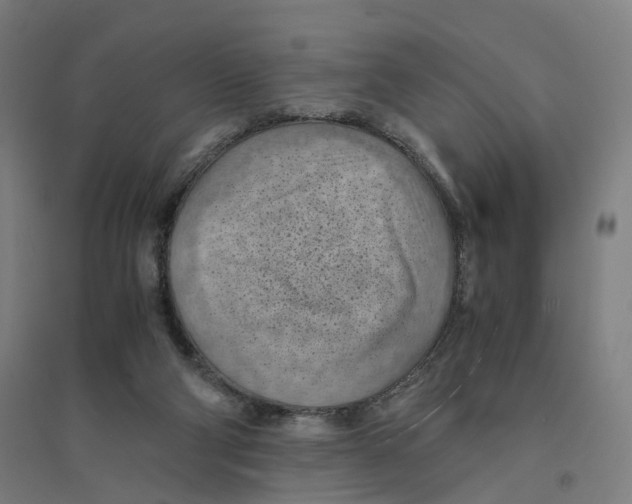 X0000094450114200712061209