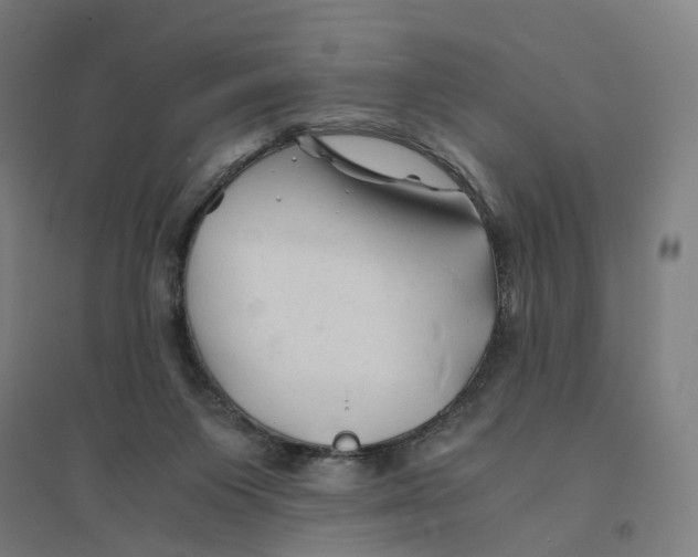 X0000094450119200712061209