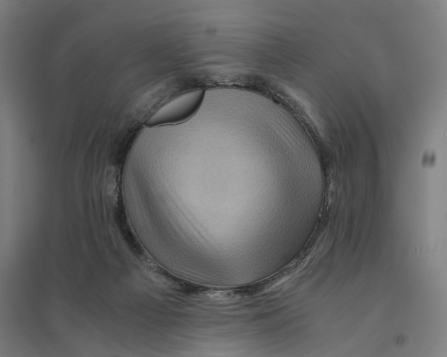 X0000094450121200712061209