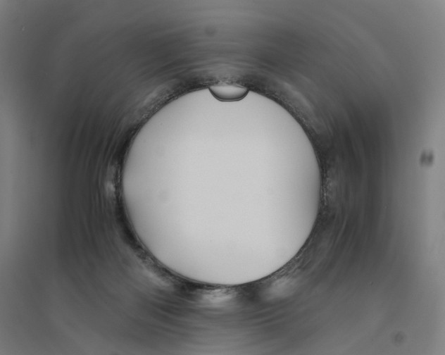 X0000094450122200712061209