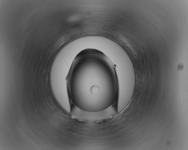 X0000094450124200712061209