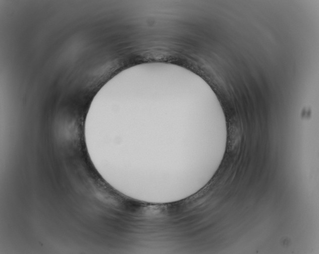 X0000094450126200712061209