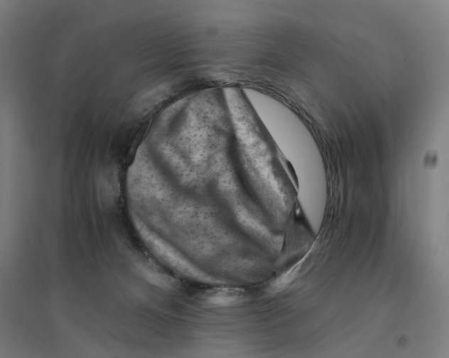 X0000094450128200712061209