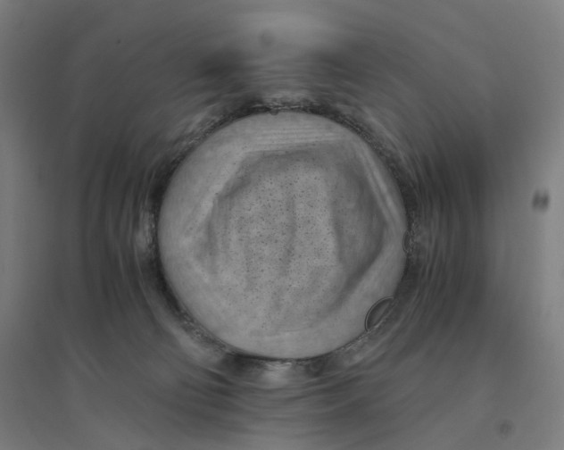 X0000094450130200712061209