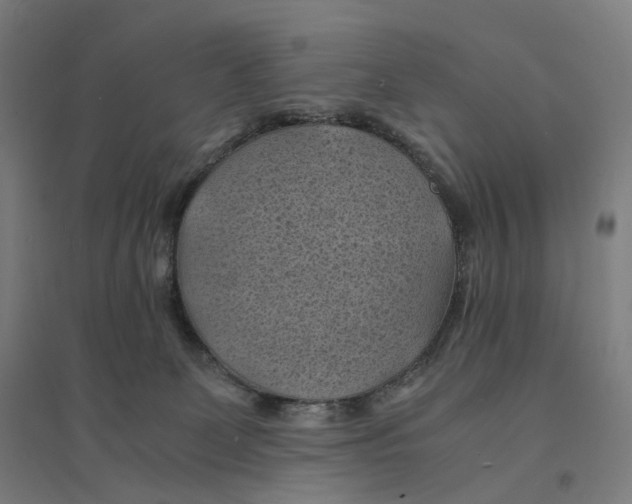 X0000094450131200712061209