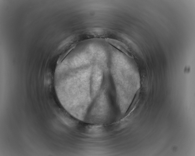 X0000094450132200712061209