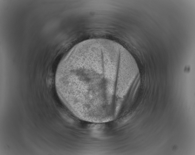 X0000094450135200712061209