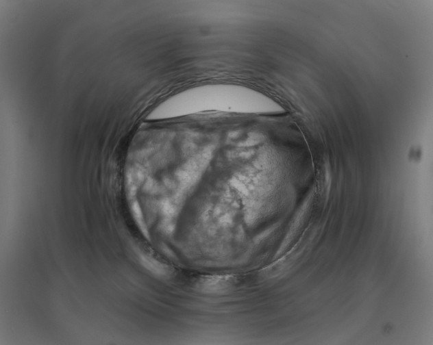 X0000094450136200712061209