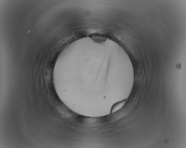 X0000094450139200712061209