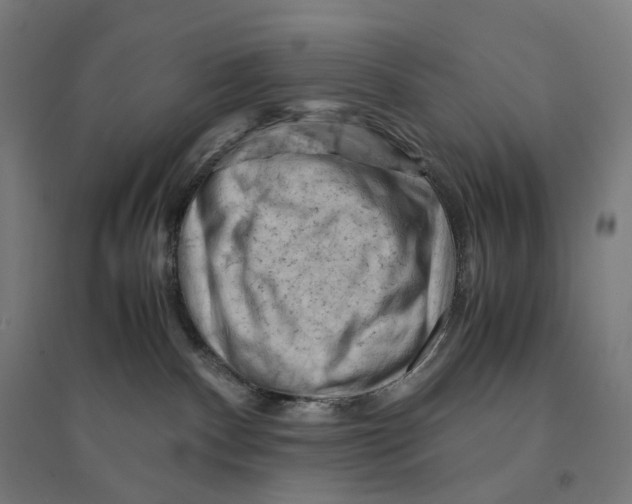 X0000094450140200712061209