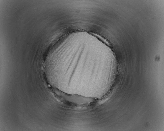 X0000094450141200712061209