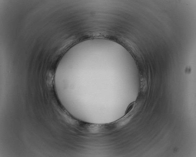 X0000094450142200712061209