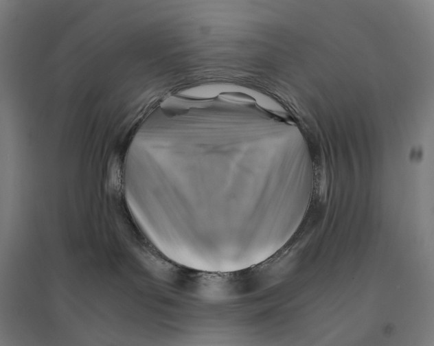 X0000094450143200712061209