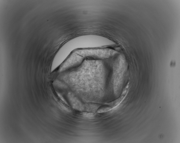 X0000094450144200712061209