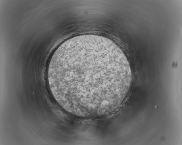 X0000094450146200712061208