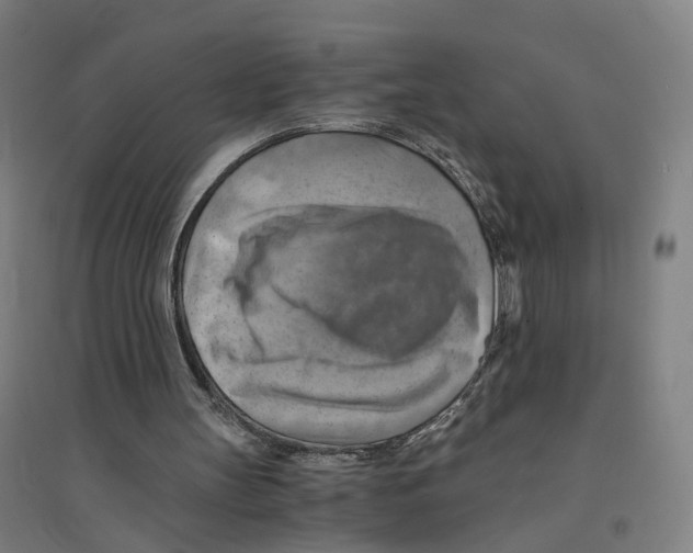 X0000094450147200712061208