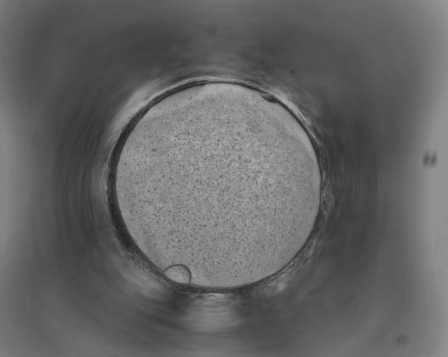 X0000094450151200712061208