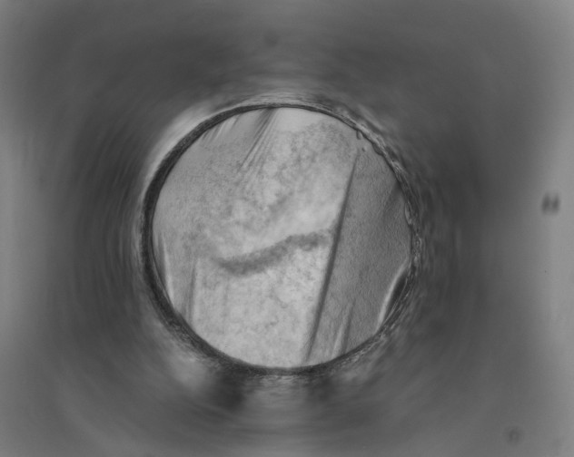 X0000094450152200712061208