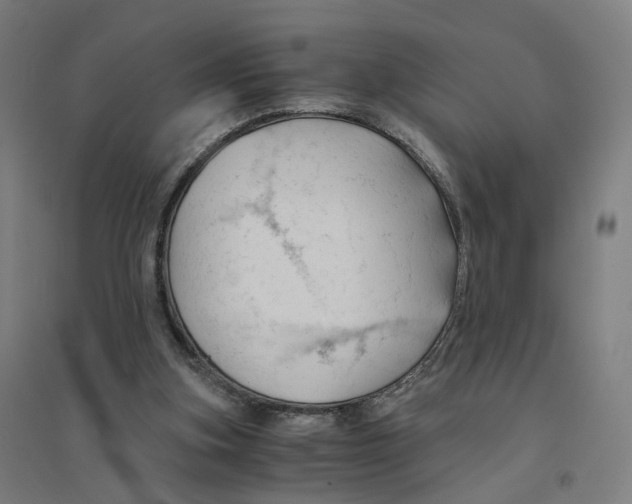 X0000094450155200712061208