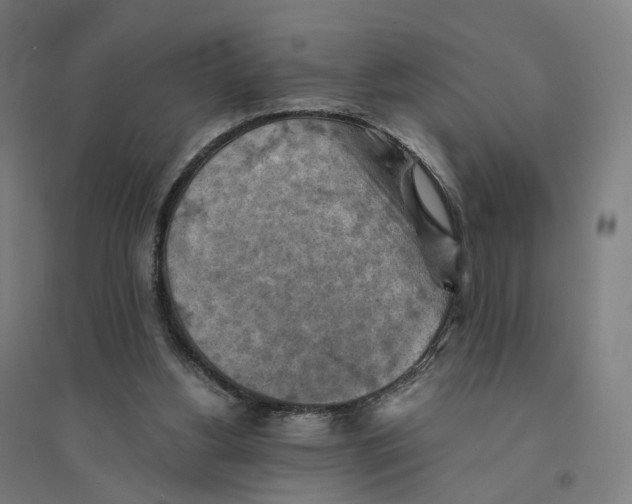 X0000094450156200712061208